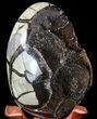Septarian Dragon Egg Geode - Black Crystals #55491-2